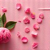 Máscara facial de argila rosa Essência Carioca, polvilhada com pétalas.