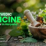 Best Ayurvedic Medicine Manufacturer in Haryana