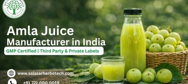 Amla Juice Manufacturer in India GMP Certified Third Party & Private Labels