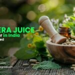 Top Aloe Vera Juice Manufacturer in India | WHO-GMP Certified
