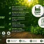 GMP Certified Ayurvedic Manufacturer in India Complete Plant & Certification Guide 